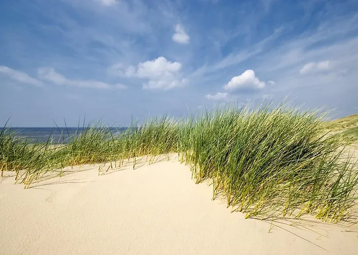 فندق Sonneninsel فيهمارن