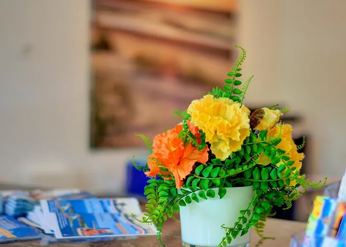 Sonneninsel 3* Фемарн